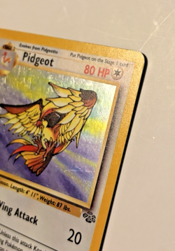 Pidgeot Holo Rare - Jungle Set - 8/64 - 1999 WOTC Original Pokemon Card - Image 2