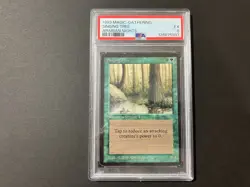 1993 SINGING TREE Arabian Nights RESERVED MTG Vintage Graded PSA 5 Excellent - Image 1