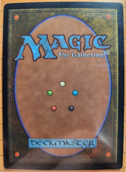 MTG - Anthologies -.1993-1998 - Armageddon - Unplayed - Image 2