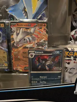 Pokemon Unova Heavy Hitters Costco Premium Collection Black Bolt White Flare - Image 5