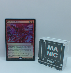 Soul Immolation NM #156 Foil MTG Lorwyn Eclipsed - Image 1