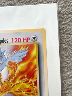 Articuno, Moltres, and Zapdos (Warner Bros. Promo) - Jumbo Cards - NM (2) - Image 3