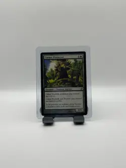 MTG, Timber Protector MP (slight water marking back top) Lorwyn Regular - Image 1