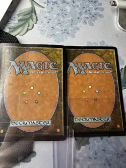 MTG, Timber Protector MP (slight water marking back top) Lorwyn Regular - Image 2