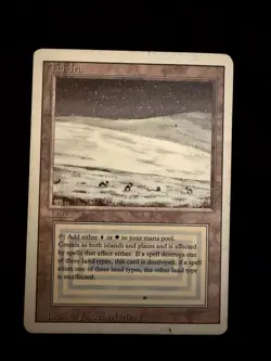 Tundra - Revised - MTG Magic The Gathering - HP - For masy-3693 (2) - Image 1
