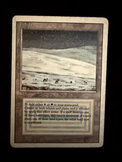 Tundra - Revised - MTG Magic The Gathering - HP - For masy-3693 (4) - Image 1