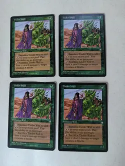 x4 Tinder Wall - MTG - Ice Age - Image 1