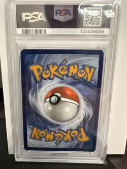 Raboot 147/142 Sv07: Stellar Crown Illustration Rare PSA 10 Gem Mint Pokemon TCG - Image 2