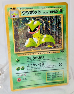 Pokemon - Victreebel - Holo Rare - Jungle - Japanese - Image 1