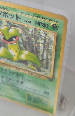 Pokemon - Victreebel - Holo Rare - Jungle - Japanese - Image 3