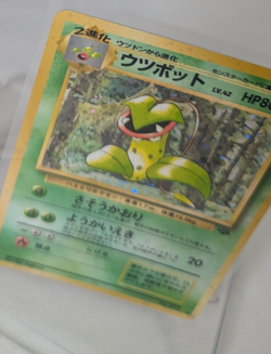Pokemon - Victreebel - Holo Rare - Jungle - Japanese - Image 4