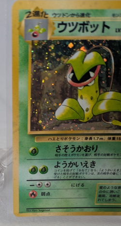 Pokemon - Victreebel - Holo Rare - Jungle - Japanese - Image 5