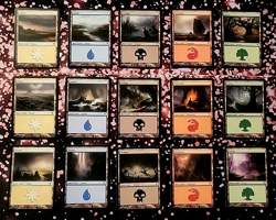 GirlGames - NEW 2011 ORIGINAL INNISTRAD COLLECTOR SET BASIC LAND 1X EACH MTG ISD - Image 1