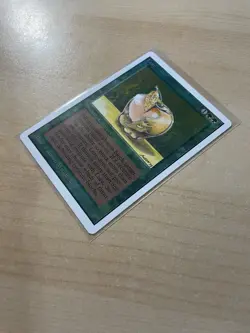 Lure Unlimited Edition Regular - Image 3