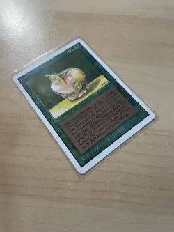 Lure Unlimited Edition Regular - Image 5