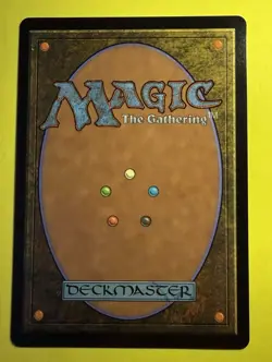 Magic ~ The Shire #345 ~ Borderless Non-Foil ~ Lord of the Rings - Image 2