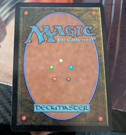 Ocelot Pride Textless Store Champ Promo - Image 2