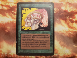 Llanowar Elves Alpha Edition Regular - Image 1