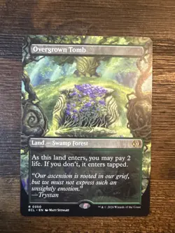 Overgrown Tomb *** Borderless *** - MTG ECL Lorwyn Eclipsed - NM/MINT - Image 1