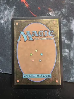 Spider-Punk - #207 Regular (Borderless) Marvel's Spider-Man - Mtg - Image 2