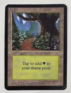 Forest (B) Path Alpha MP Moderate Play MTG Magic The Gathering 1.4 - Image 1