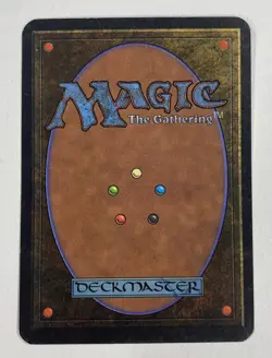 Forest (B) Path Alpha MP Moderate Play MTG Magic The Gathering 1.4 - Image 2