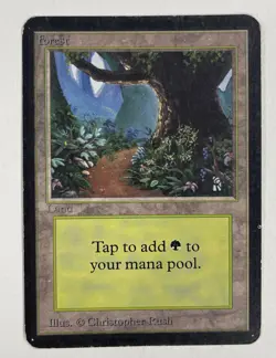 Forest (B) Path Alpha MP Moderate Play MTG Magic The Gathering 1.1 - Image 1