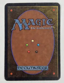 Forest (B) Path Alpha MP Moderate Play MTG Magic The Gathering 1.1 - Image 2