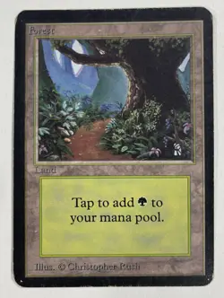 Forest (B) Path Alpha MP Moderate Play MTG Magic The Gathering 1.2 - Image 1