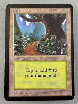 Forest Limited Edition Alpha #295 (B)-Moderately Played Very Good-Vintage Magic - Image 1