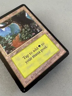 Forest Limited Edition Alpha #295 (B)-Moderately Played Very Good-Vintage Magic - Image 4