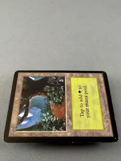 Forest Limited Edition Alpha #295 (B)-Moderately Played Very Good-Vintage Magic - Image 5