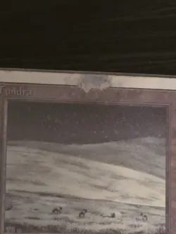 Tundra Dual Land Unlimited Damaged - Image 3