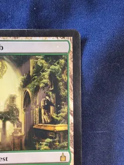 Overgrown Tomb -Ravnica: City of Guilds - MTG - LP/MP - Ravnica - Image 3