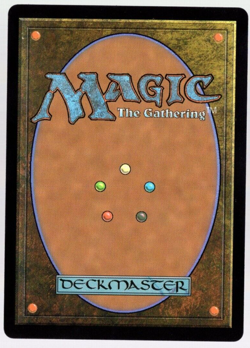 Kellan, Inquisitive Prodigy 0334 Non Foil Borderless Rare Karlov Manor MTG NM - Image 2