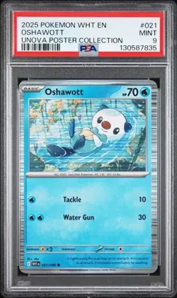 2024 Pokemon WHT EN Oshawott Unova Poster Collection #021 PSA 9 MINT - Image 1