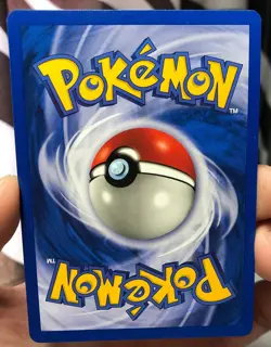Eevee 50/64 - 10 Gem PSA Ready - 1999 Jungle set - Pokemon Cards - Image 4