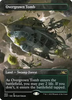 MtG* - FOIL Overgrown Tomb (V.1) - UNF-EN - Image 1
