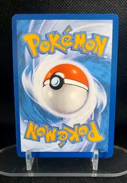 Pokemon TCG Turtwig Crown Zenith: Galarian Gallery Gg31/Gg70 Holo Holo Rare - Image 2