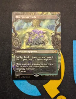 Overgrown Tomb Borderless Rare ECL 350 Lorwyn Eclipsed MTG - Image 1