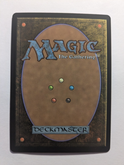 Catharsis (Borderless) Lorwyn Eclipsed Foil 292 MtG - Image 2