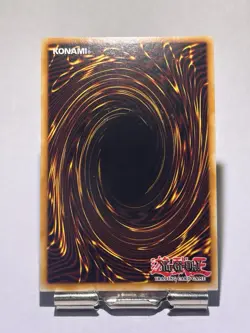 Yu-Gi-Oh! TCG Dark Magician Girl DPBC-EN009 1ST EDITION ENGLISH NM - Image 2