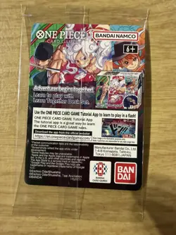One Piece Monkey.D.Luffy US College Basketball Promo Card - IN HAND WITH POSTER - Image 5