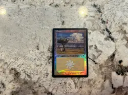 Mtg Foil Odyssey Plains 333 Magic the Gathering Foil Odyssey Land Thunder Plains - Image 1