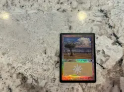 Mtg Foil Odyssey Plains 333 Magic the Gathering Foil Odyssey Land Thunder Plains - Image 2
