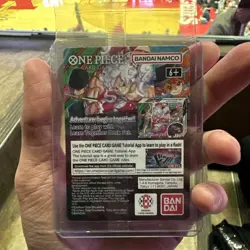 One Piece Monkey.D.Luffy US College Basketball Promo Card IN HAND SHIPS TODAY! - Image 2