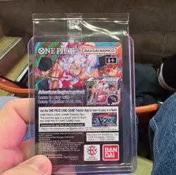 One Piece Monkey.D.Luffy US College Basketball Promo Card IN HAND SHIPS TODAY! - Image 3