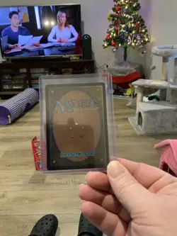 Hexing Squelcher (Showcase) R Lorwyn Eclipsed 317 NM Foil - Image 2