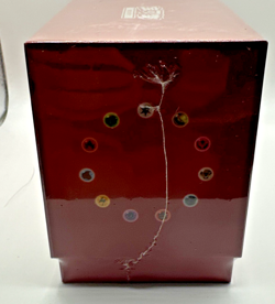 Pokemon TCG: Brilliant Energy "Fire" Gift Box (Chinese) NEW SEALED - Image 2