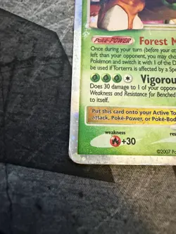 Torterra LV.X DP09 - Diamond & Pearl Black Star Promo - Holo Rare Pokemon - MP - Image 4
